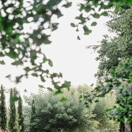 Chateau D'estrac Maison d'hôtes 4*