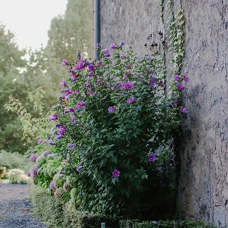 Chateau D'estrac 게스트하우스 4*