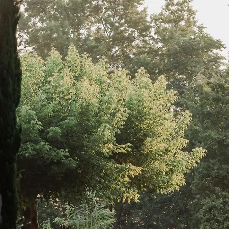 Chateau D'estrac Penzion 4*