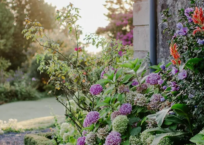 Chateau D'estrac Πανσιόν Hastingues