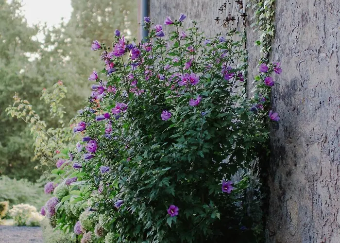 Chateau D'estrac Πανσιόν 4*