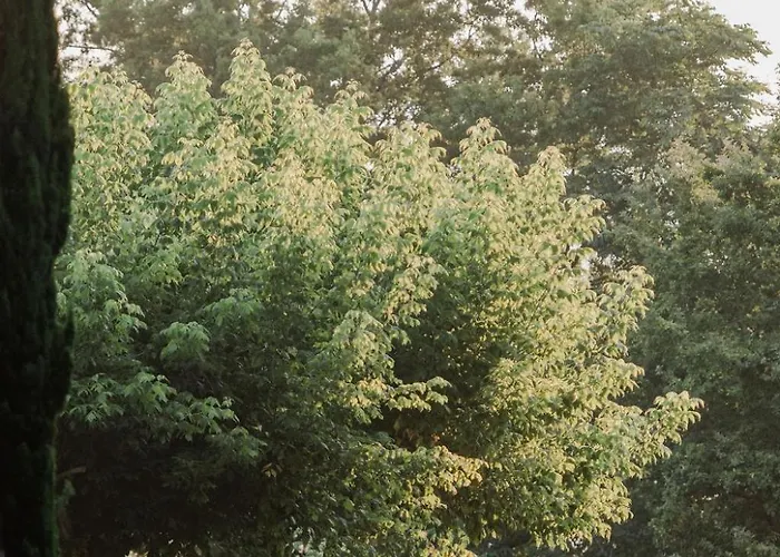 Chateau D'estrac Πανσιόν 4*