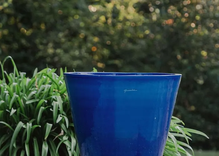 Πανσιόν Chateau D'estrac